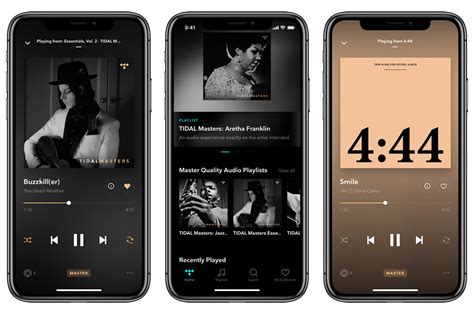 How to Download Music from Tidal - Exploring the Nuances of High-Fidelity Audio in Digital Era