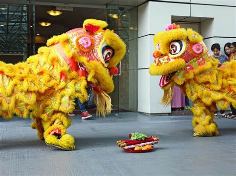 lion dance meaning: Exploring the Lion Dance in Chinese Culture