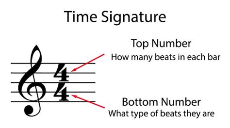 what is a half note in music and why do we need to understand the concept of time signatures?